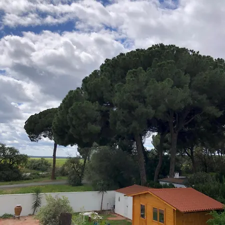 Juliana 3 * Siviglia